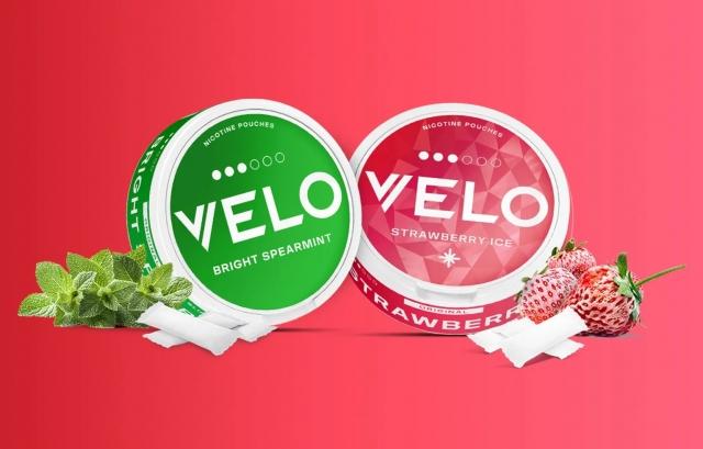 The Rise of Tobacco-Free Pouches: What You Should Know